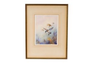 William E. Powell - Ducks in Flight | watercolour