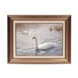 Walter Holmes - Swans | oil