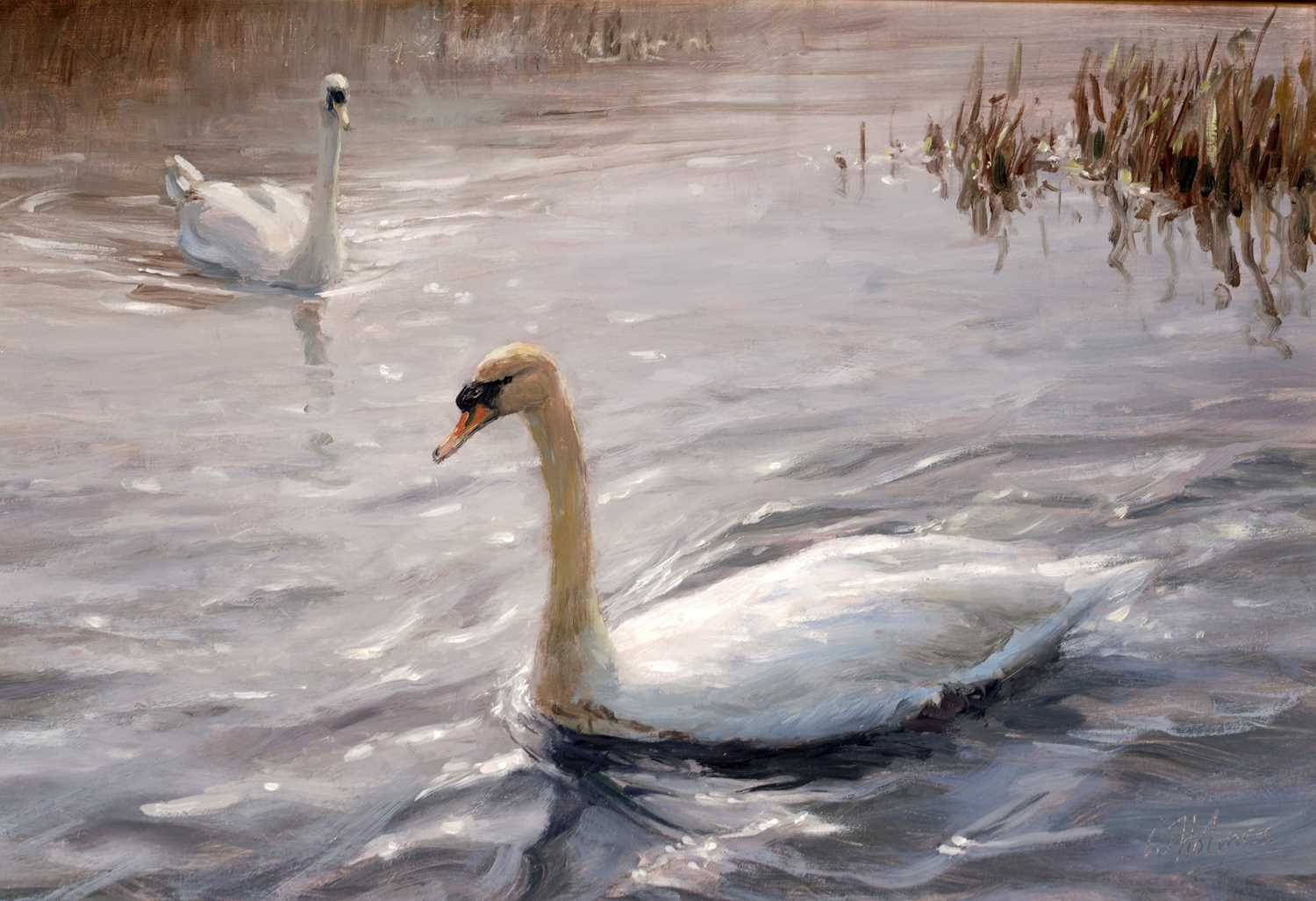 Walter Holmes - Swans | oil - Image 2 of 2