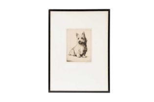 Graham Clilverd - Craigie - West Highland Terrier | drypoint