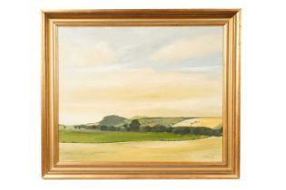Alan Turner - Landscape Near Denholm | oil