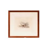 Henry Thomas Alken - Game Bird Shooting Vignette | graphite and watercolour