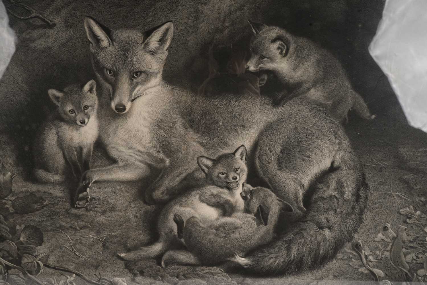 William Turner Davey - A Vixen Fox and Her Cubs | stipple engraving - Image 3 of 6