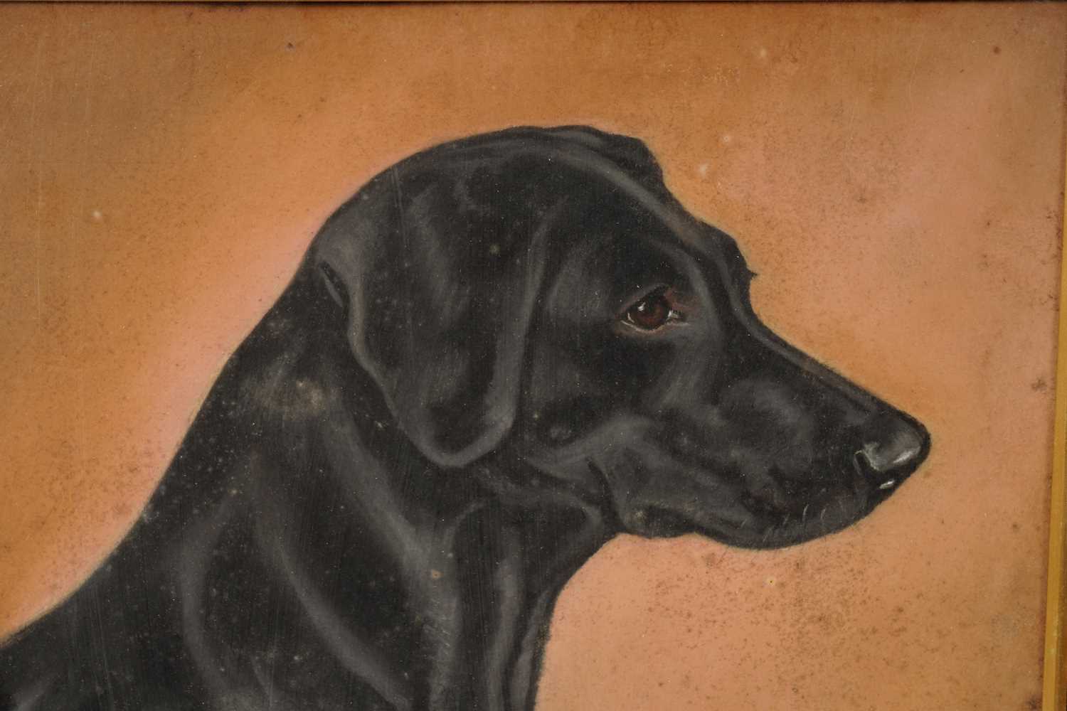 Frank Prosser - Lady Atalanta and Bess; two dog portraits | pastel - Image 3 of 16