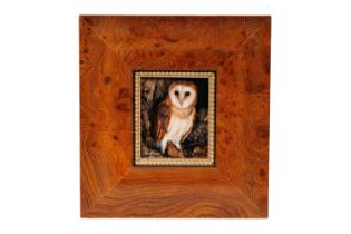 Carl Whitfield - Barn Owl | oil