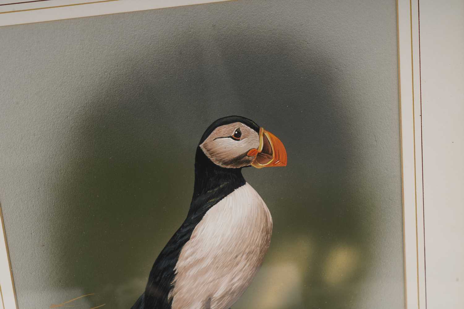 Alan Taylor - Puffin | gouache - Image 3 of 4