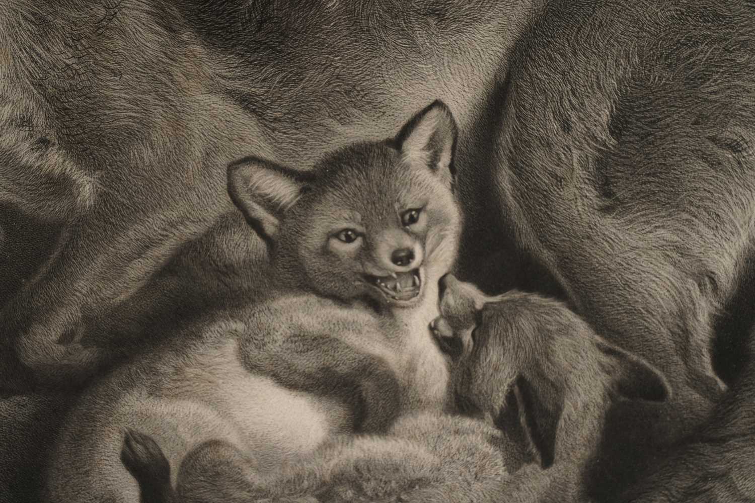 William Turner Davey - A Vixen Fox and Her Cubs | stipple engraving - Image 2 of 6