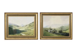 Robert Ritchie - Low Snowbell Moor & Langdale Fells | acrylic