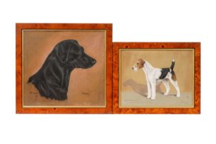 Frank Prosser - Lady Atalanta and Bess; two dog portraits | pastel