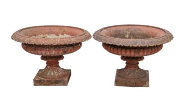 Two classical style cast iron garden urns