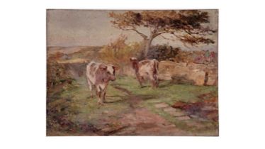 Robert Jobling - Cows in a Paddock | oil