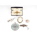 A selection of brooches and other jewellery