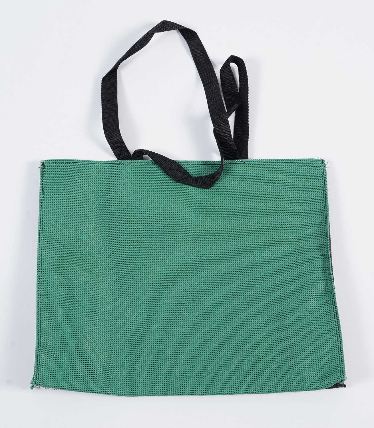 After David Shrigley - YOU CANNOT HELP LOOKING AT THIS | two limited edition BALTIC bags - Image 9 of 10