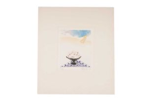 Anthony Benjamin - Northern Still Life | limited edition colour etching