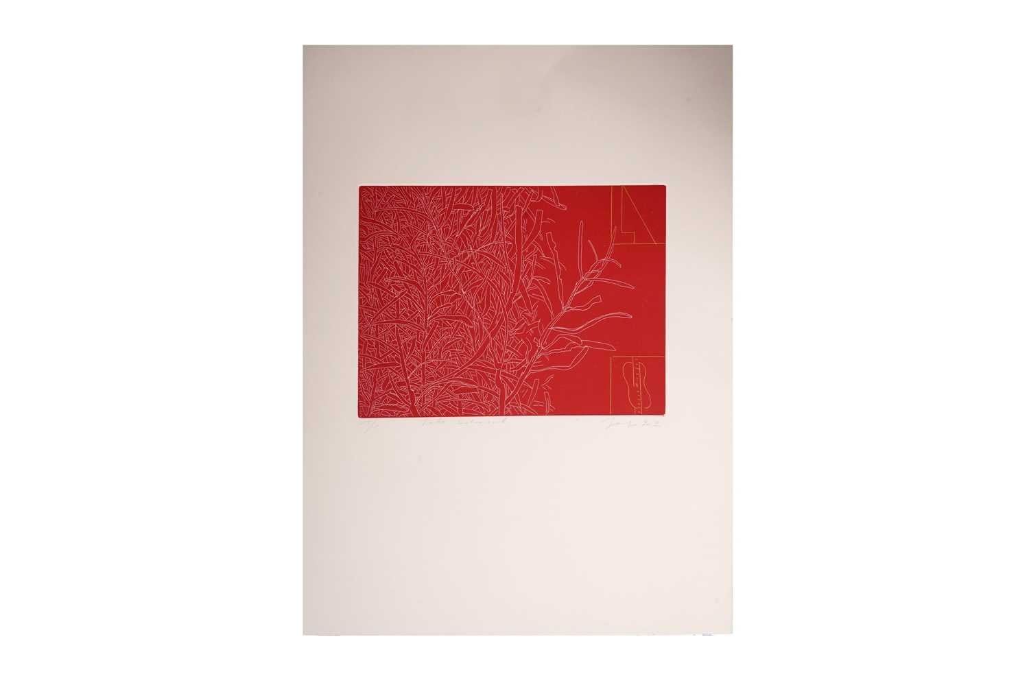 Robert Jacks AO - Lake Botanical | trail proof colour etching