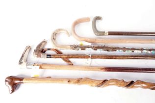 A collection of vintage walking sticks