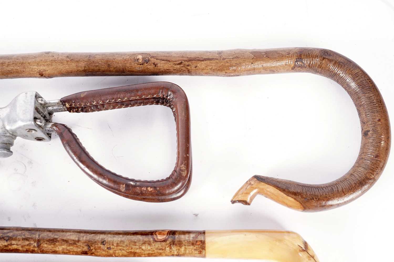 Collection of walking sticks and sporting equipment - Image 3 of 4