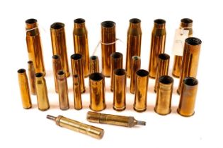 Collection of brass shell casings