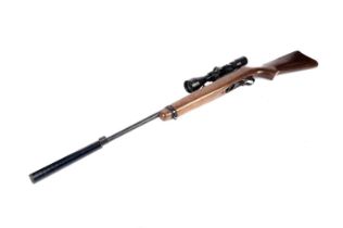 Ruger .22 rifle model 10/22 carbine