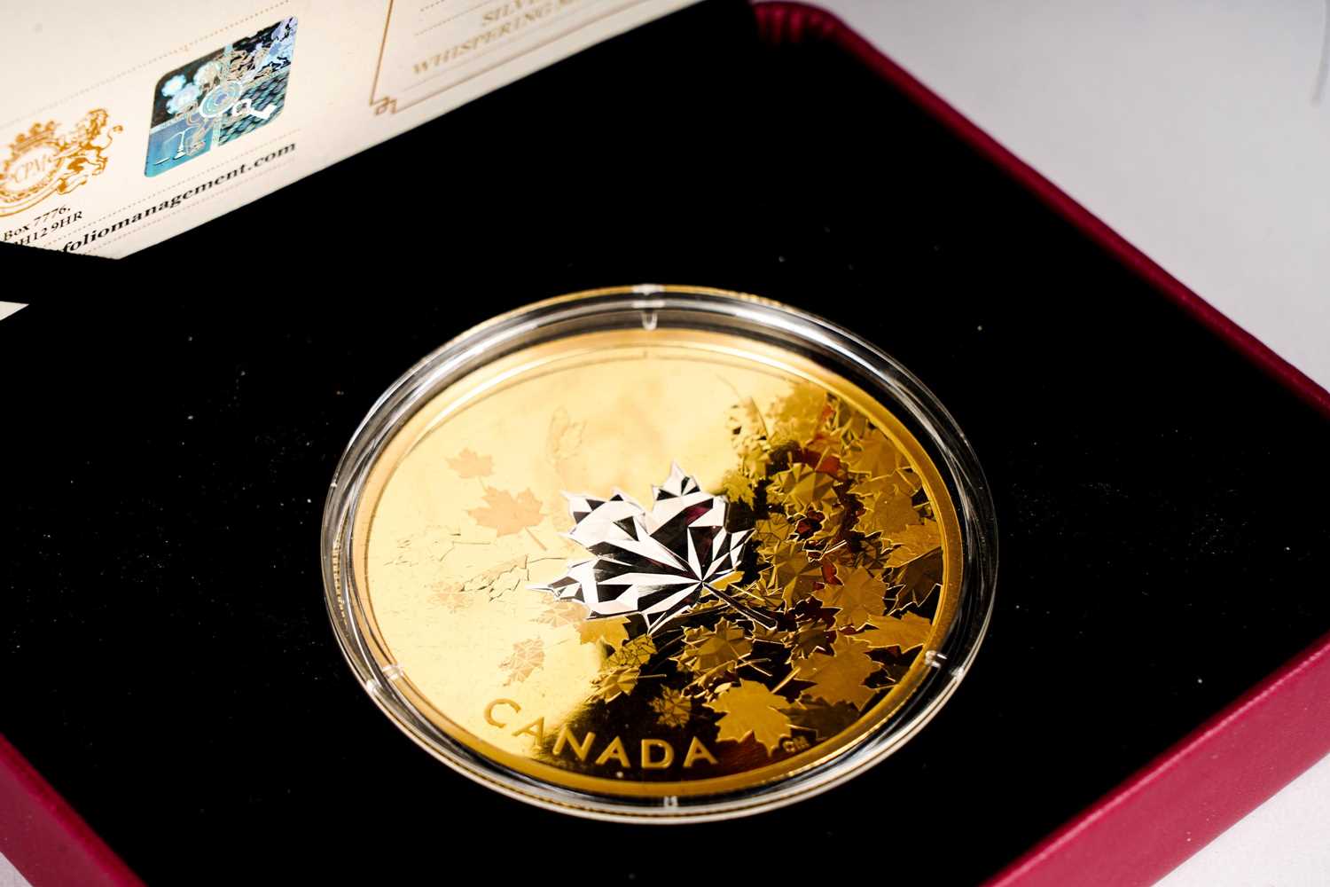 The Royal Canadian Mint Queen Elizabeth II $50 dollar silver proof coin - Image 3 of 3