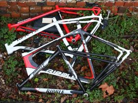 Four various carbon fibre bicycle frames, Whyte 629; Ribble (2); Specialized, all frame only and