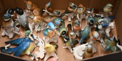 A selection of twenty-five Karl Ens china bird ornaments
