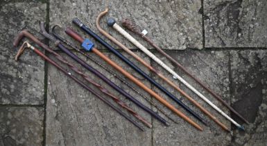 Various vintage walking sticks and canes, including shark vertebrae cane, Masonic carved wood