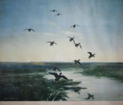 After Peter Scott (1809-1989) - Ducks landing over wetlands, print, pencil signed to lower right