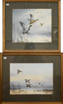 Two watercolours by Cecil Hodgkinson - 'At Sunrise, Mallard alighting', and 'Startled Mallard', 27.5