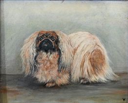 LHW? - A study of a Pekinese dog, oil on canvas laid on board, signed with initials lower right,