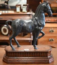 A bronzed spelter figure of a pacing horse, in the 16th century manner, on walnut base, 49 x 43 cm