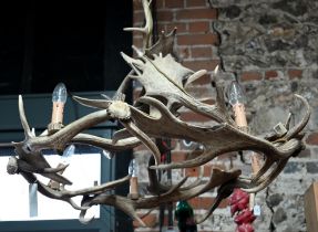 A large deer antler ceiling electrolier formed by linked antlers, fitted with five bulbs, approx. 80