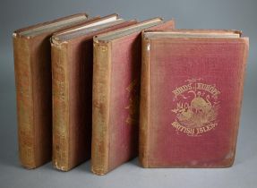 Bree, Charles R., A History of the Birds of Europe, not observed in the British Isles, 4 vol., 238