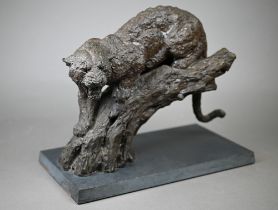 William Timym - A sculpture of a leopard, resin bronze by Hereditives Century Collection no 49/100