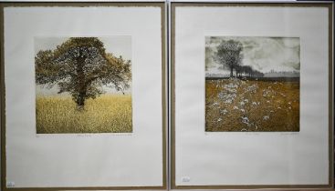 Phil Greenwood (b 1943) - Two coloured aquatint etchings - 'Tree Walk' and 'Little Oak', both