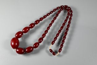 A row of graduated cherry amber beads, 3 x 2cm the largest, 1 x 0.5 cm the smallest, with screw