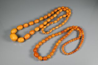 Two graduated amber bead necklaces, one with oval beads approx 3 x 2 cm the largest to 1 x 0.7 cm,