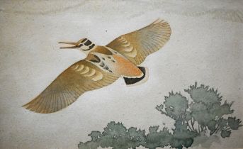 Keith Henderson (1883-1982) - 'Woodcock in flight', watercolour, 20 x 32 cm Faded and discoloured