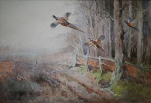 Roland Green (1890/96-1972) - Study of pheasants flying, watercolour, signed lower right, 28 x 41 cm