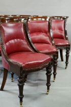 A set of eight Regency mahogany dining chairs, with brass studded red cow hide upholstery and raised