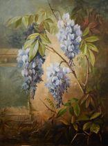 Irish school - Wisteria, oil on canvas, 60 x 44 cm