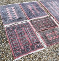 Five various Pakistani Turkoman design rugs, all with repeating gul design on terracotta ground (5)