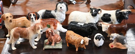 A Beswick Aberdeen Angus bull 20 cm long, to/w a Coopercraft bull and ram, two other bulls and a