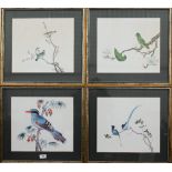 A set of four prints of exotic birds on flowering branches, 30 x 35 cm (4)