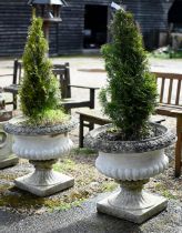 A pair of weathered cast stone garden planters c/with fern plants (2)