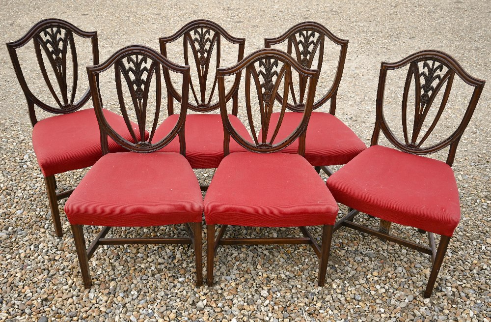 A set of six Edwardian mahogany Hepplewhite style shield-back dining chairs carved with wheat-