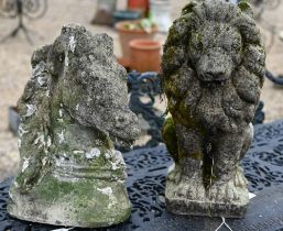 A weathered cast stone seated lion, 44 cm h to/with a cast stone horse head, both a/f (2)