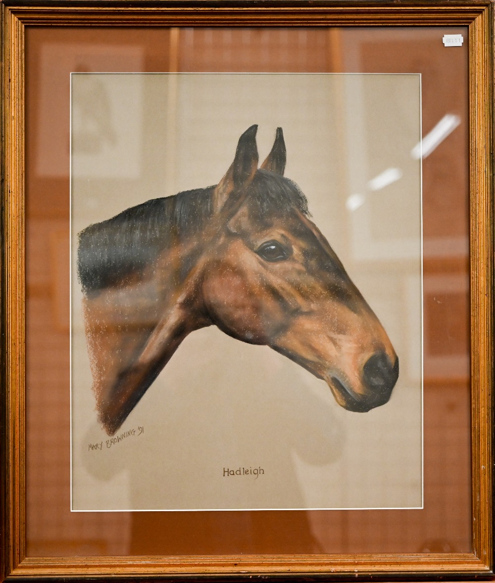 Mary Browning - 'Hadleigh', pastel study of a horses' head, signed and dated '91, 52 x 42 cm - Image 2 of 4