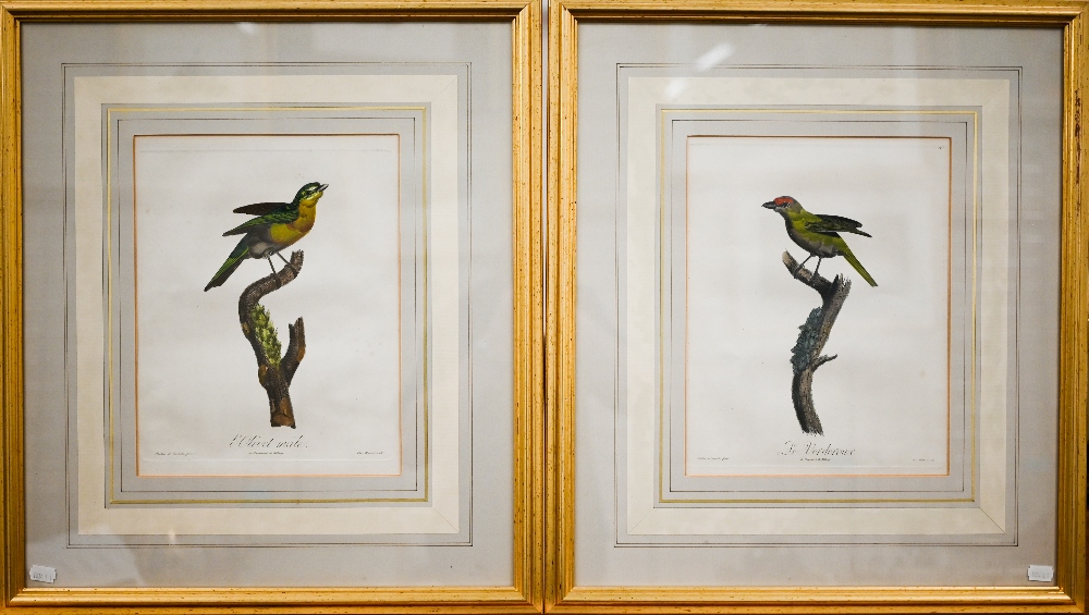 Two bird book plate engravings, 30 x 24 cm; three engravings depicting classical plaques; two - Image 5 of 27