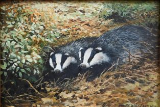 Berrisford Hill - Badgers in a sett, oil on board, signed lower right, 12 x 16 cm